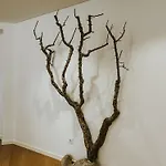 Refugio Da Rainha فندق مبيت وإفطار Moledo (Lisbon)