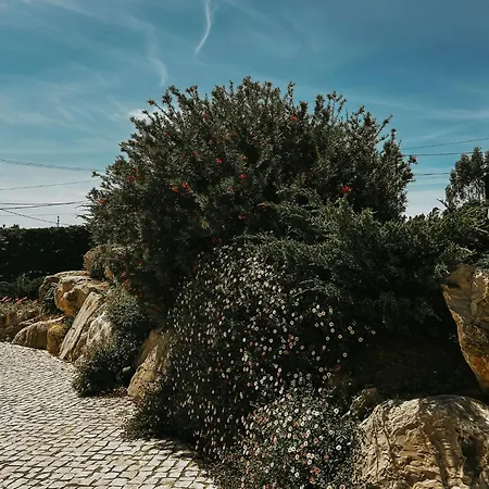 Refugio Da Rainha Bed & Breakfast Moledo (Lisbon)