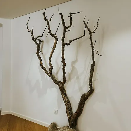 Refugio Da Rainha Bed & Breakfast Moledo (Lisbon)